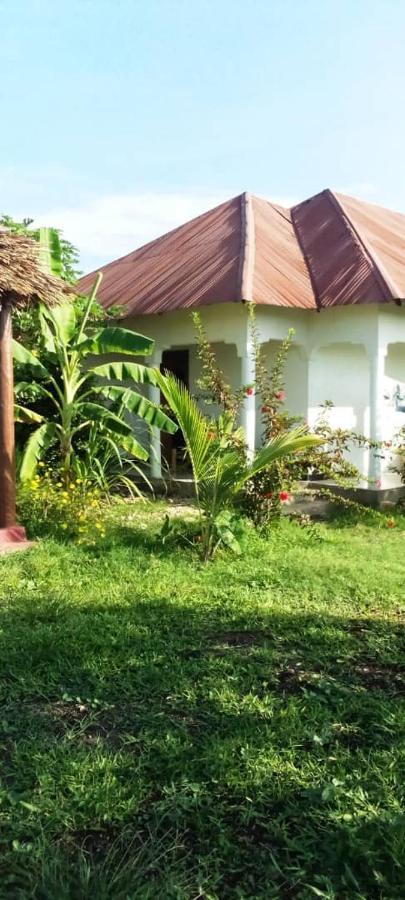 Marashi Villa Nungwi Bagian luar foto