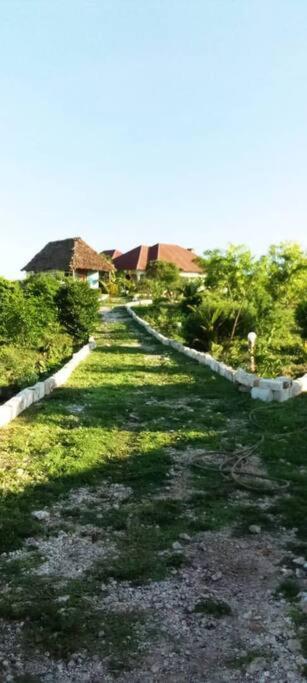 Marashi Villa Nungwi Bagian luar foto